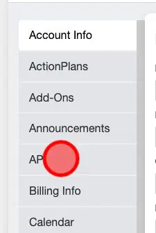 Open API settings